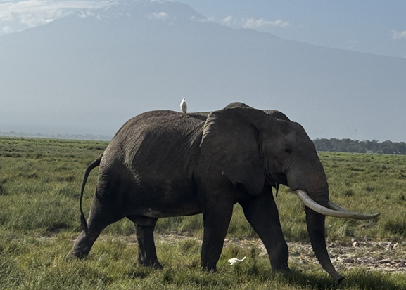 Foto 18.01.26, 08 34 16 (2).png