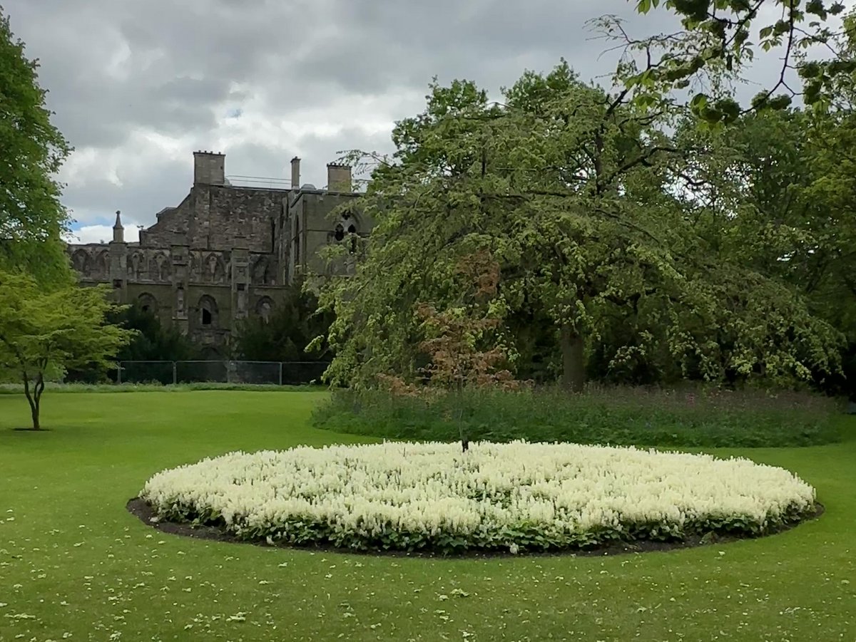 IMG_7014 - frame at 0m5s.JPG