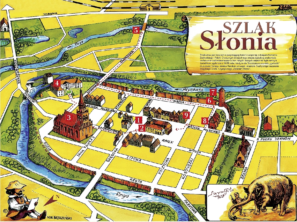 31-szlakslonia3.jpg