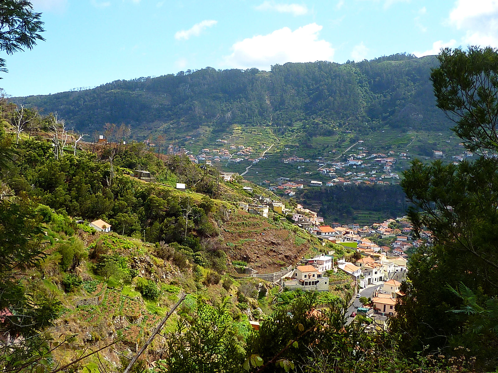P2100163.JPG