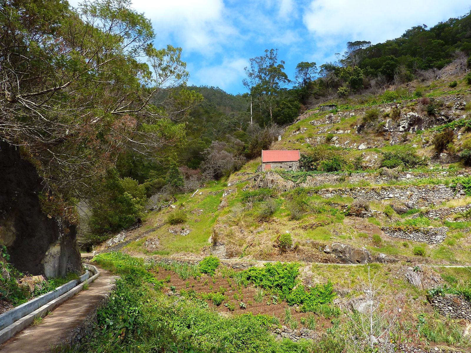 P2100165.JPG