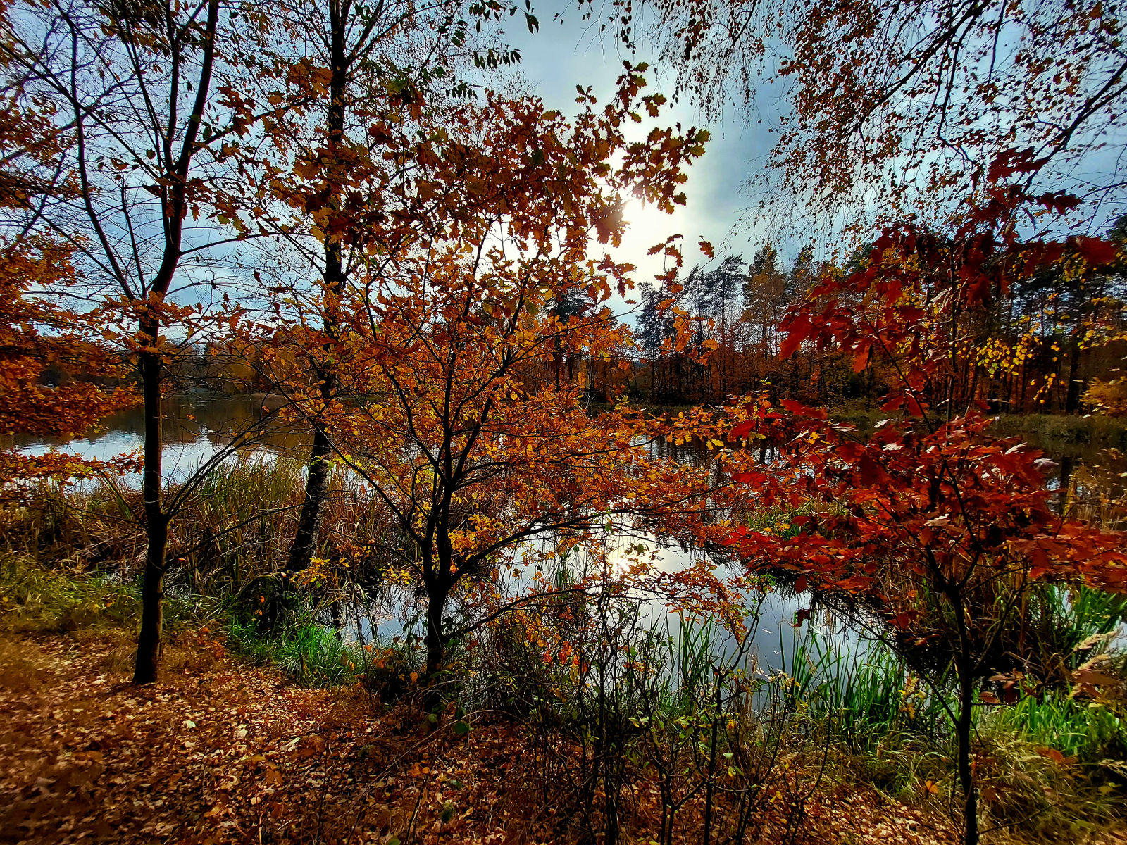 20251102_130336.jpg