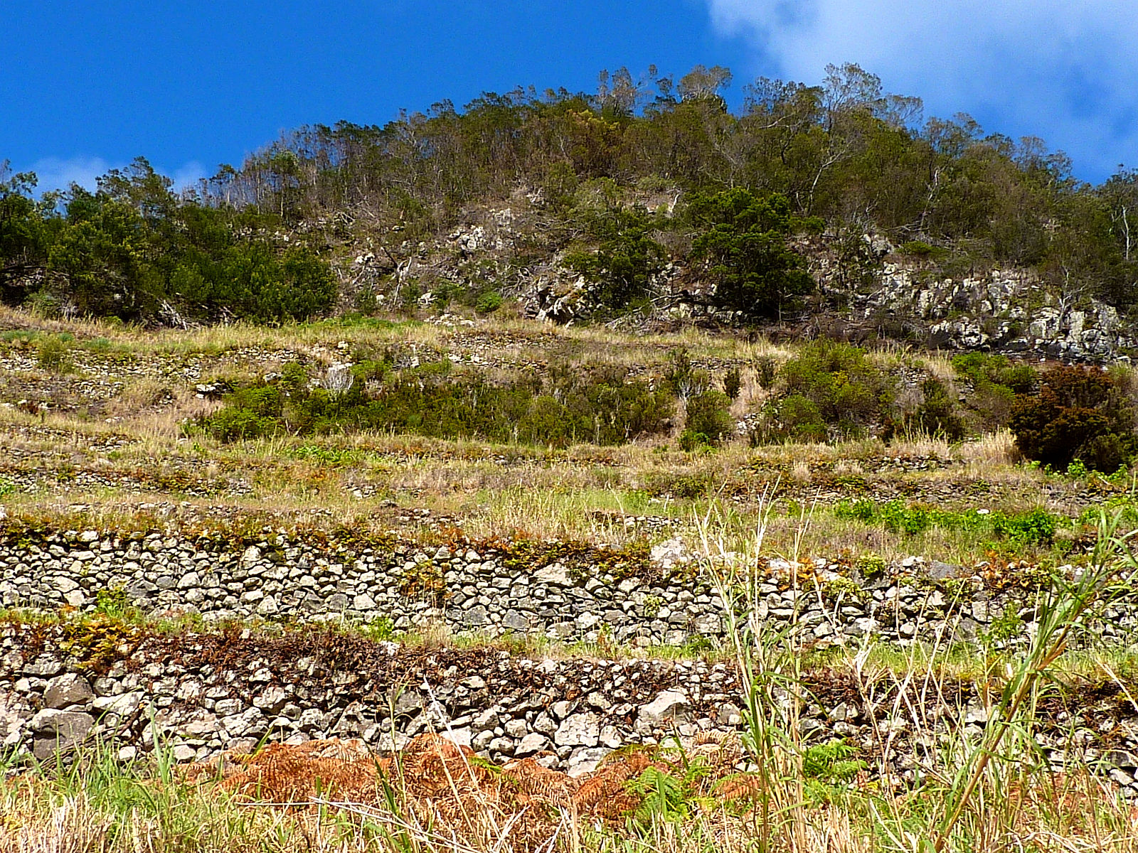 P2100170.JPG