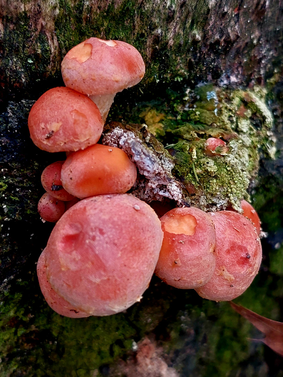 20251102_132551.jpg