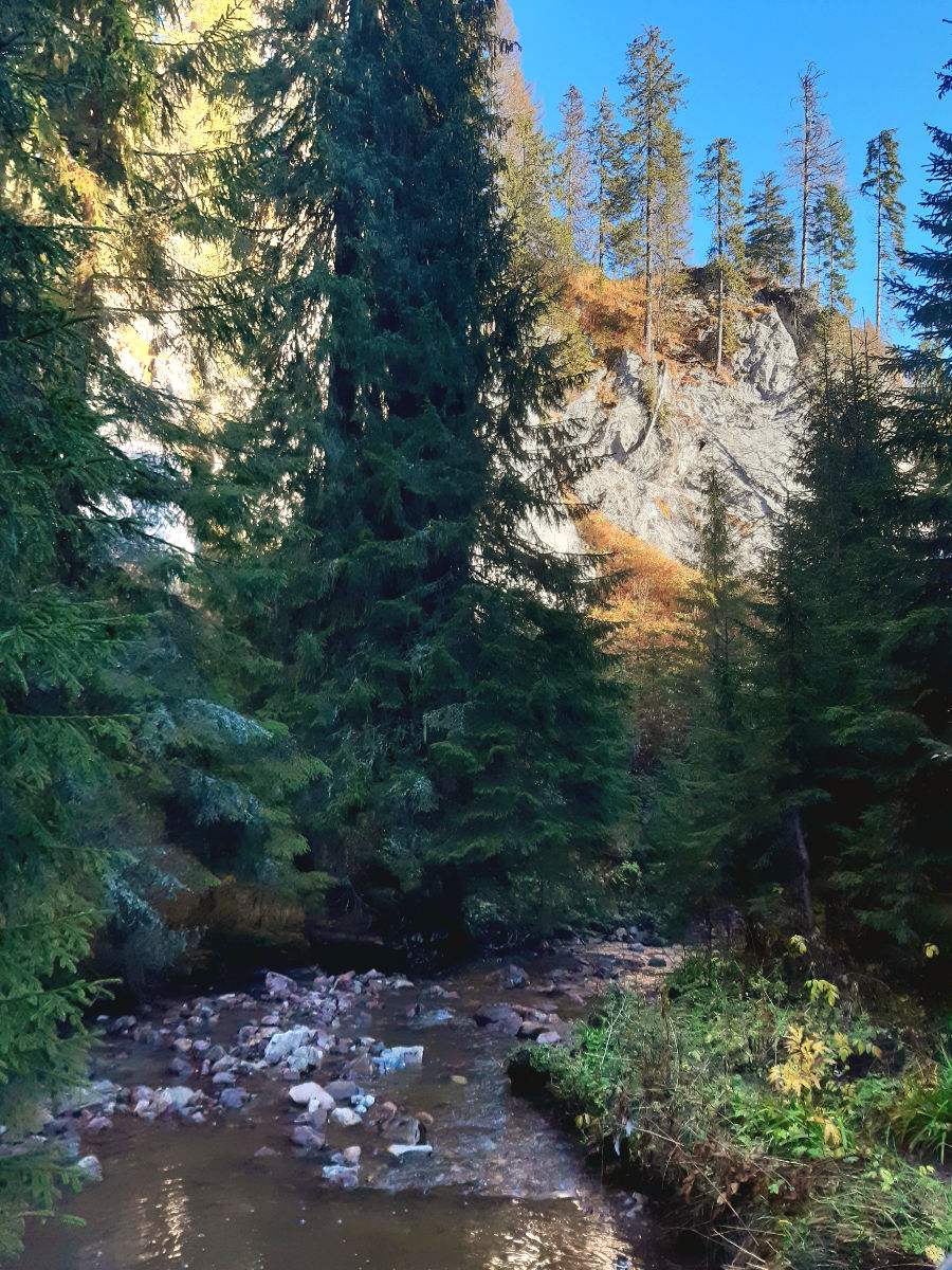20221026_102232.jpg
