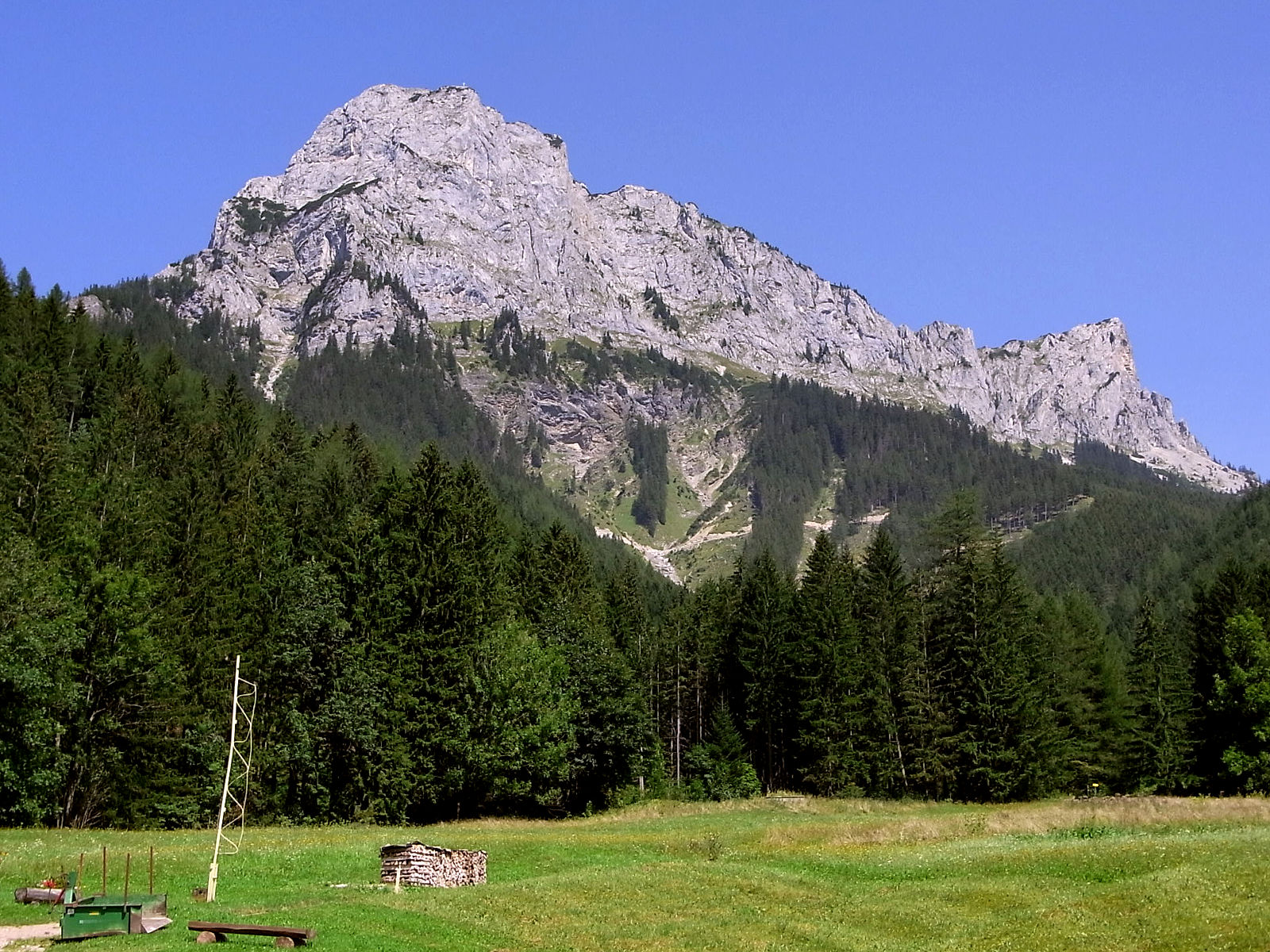RIMG0940.JPG