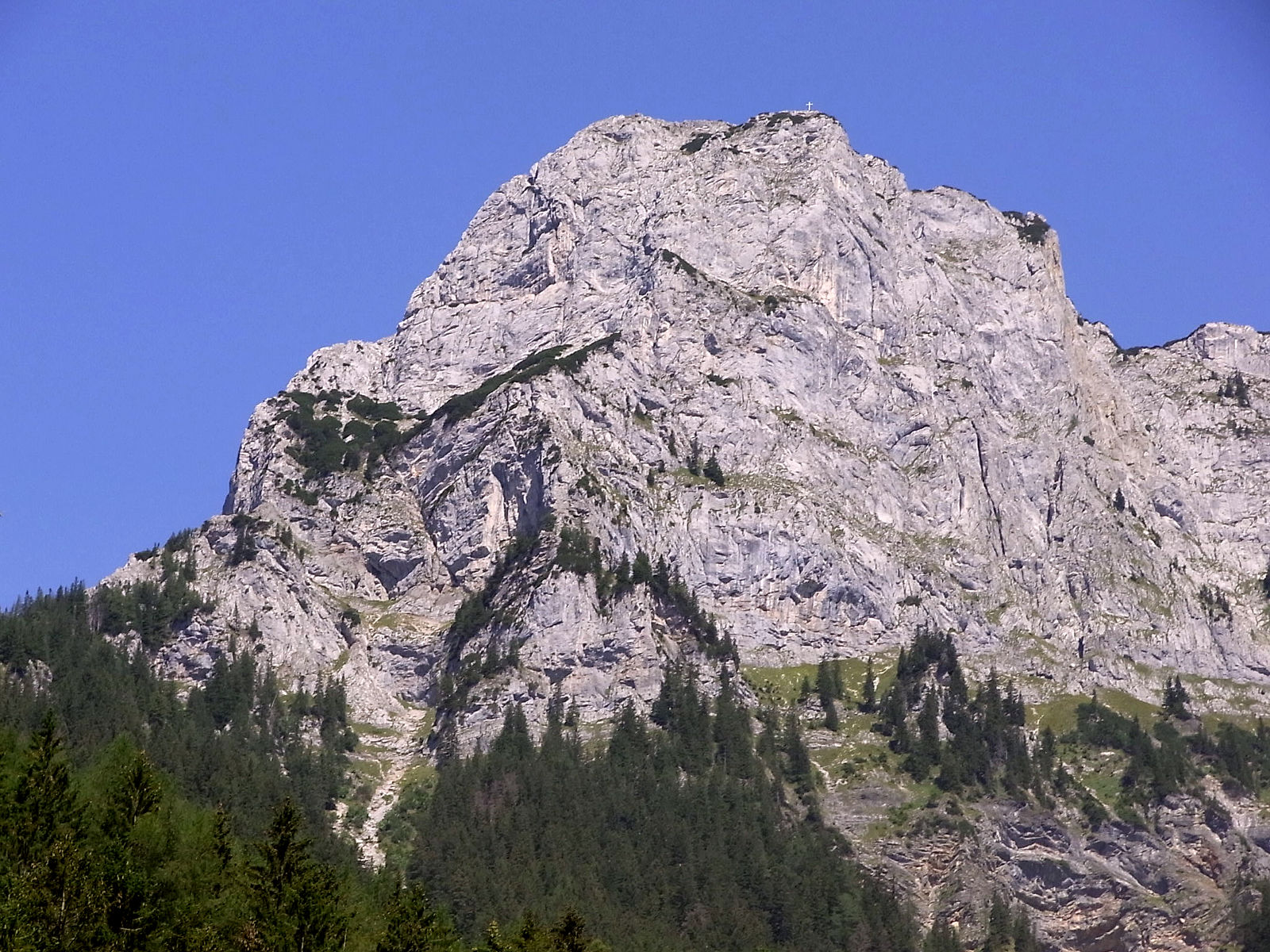 RIMG0941.JPG