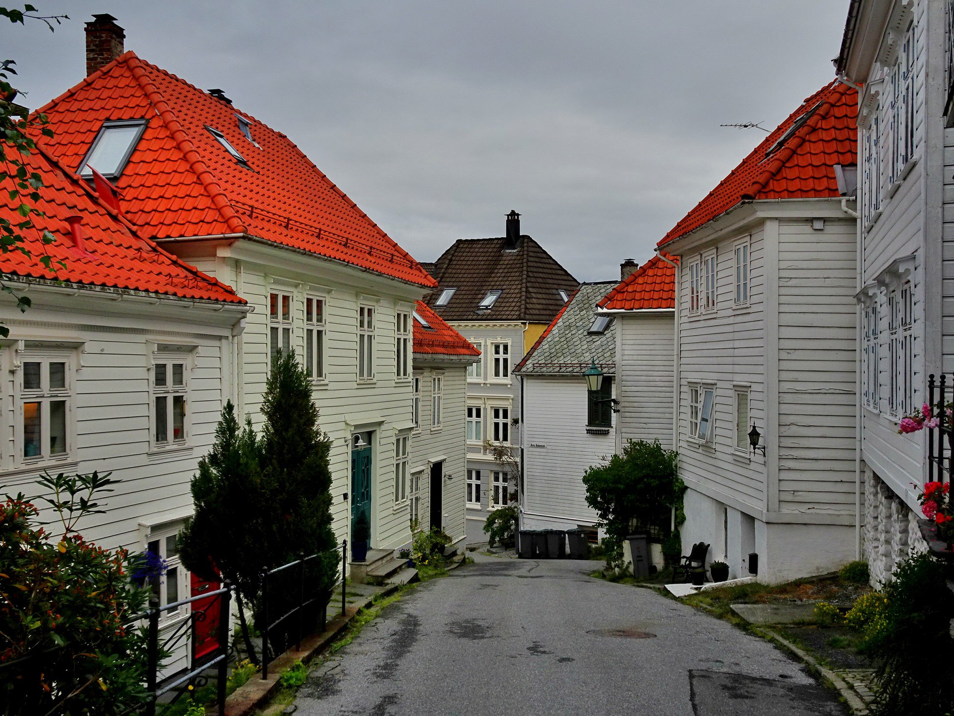 N02.jpg
