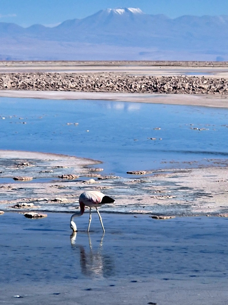 20260312_173251 (Kopiowanie).jpg