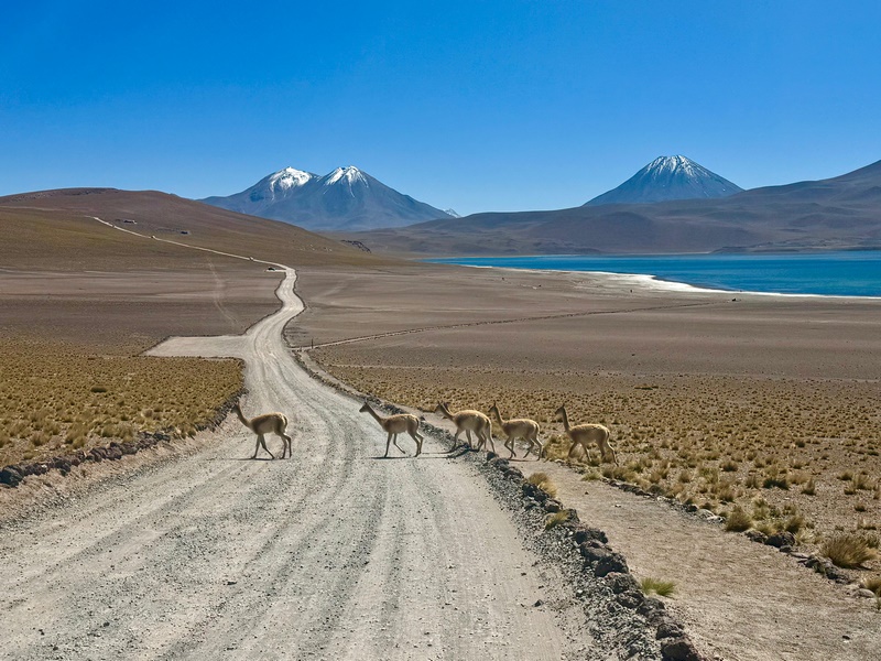 IMG-20260317-WA0017 (Kopiowanie).jpg