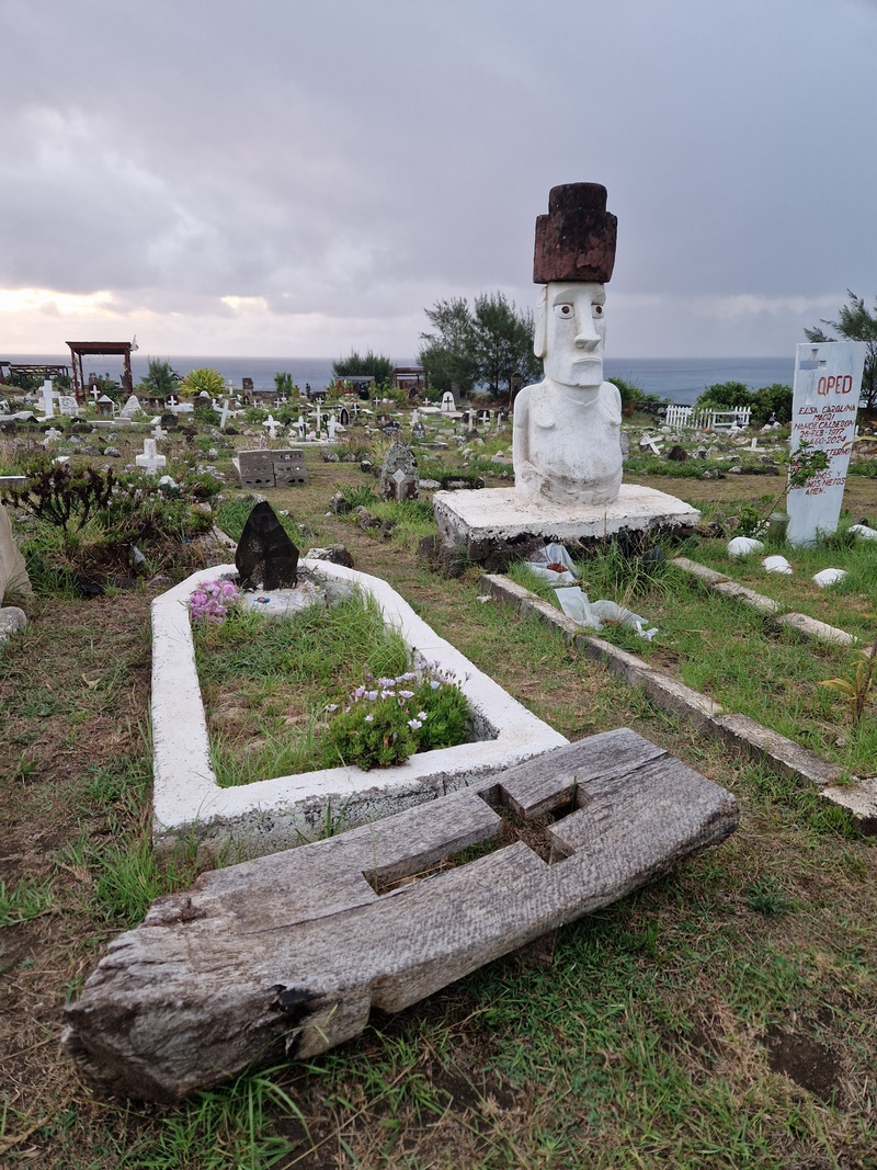 20260315_203111 (Kopiowanie).jpg