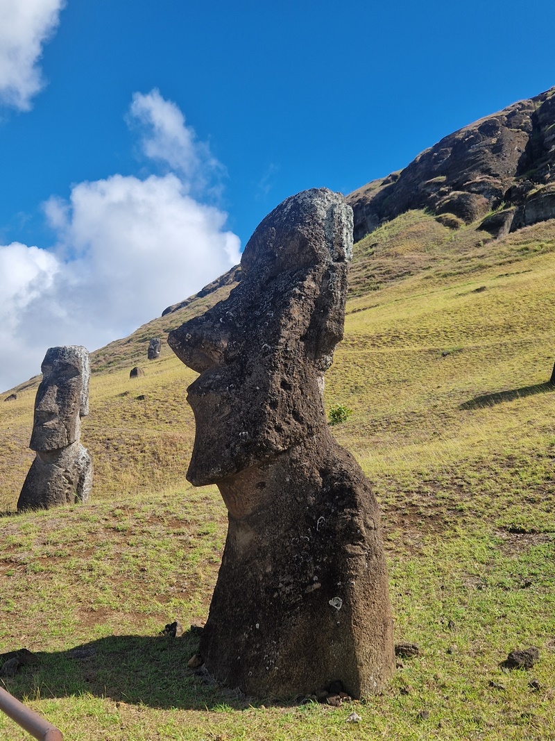 20260316_133758 (Kopiowanie).jpg