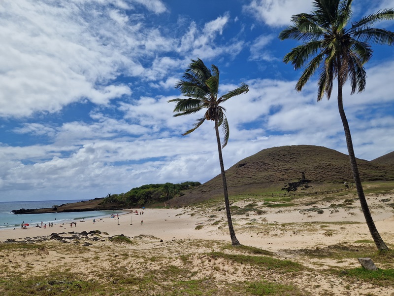 20260316_170405 (Kopiowanie).jpg