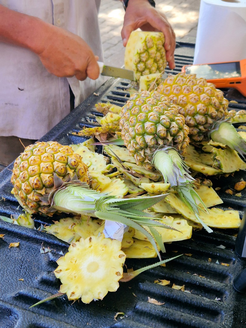 20260316_170718 (Kopiowanie).jpg