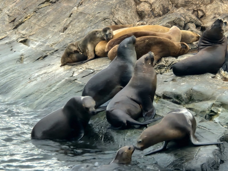 20260323_094408 (Kopiowanie).jpg