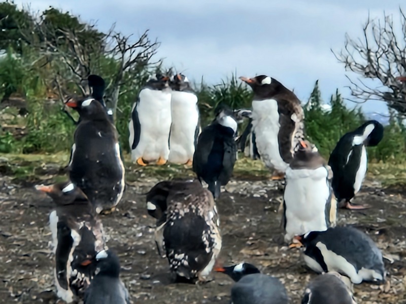 20260323_114721 (Kopiowanie).jpg