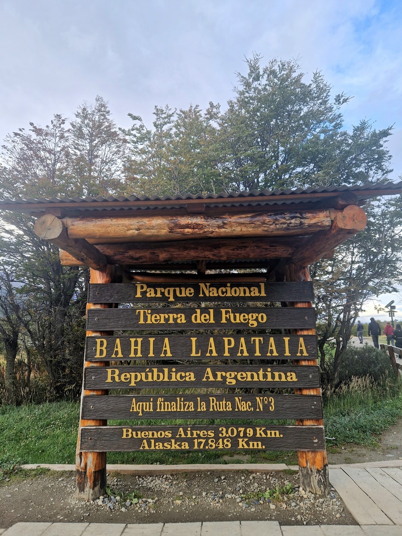 20260323_182203 (Kopiowanie).jpg