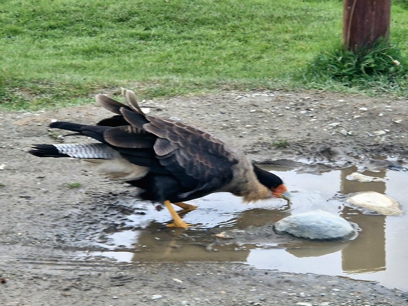 20260323_182349 (Kopiowanie).jpg