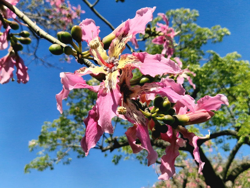 20260325_123640 (Kopiowanie).jpg