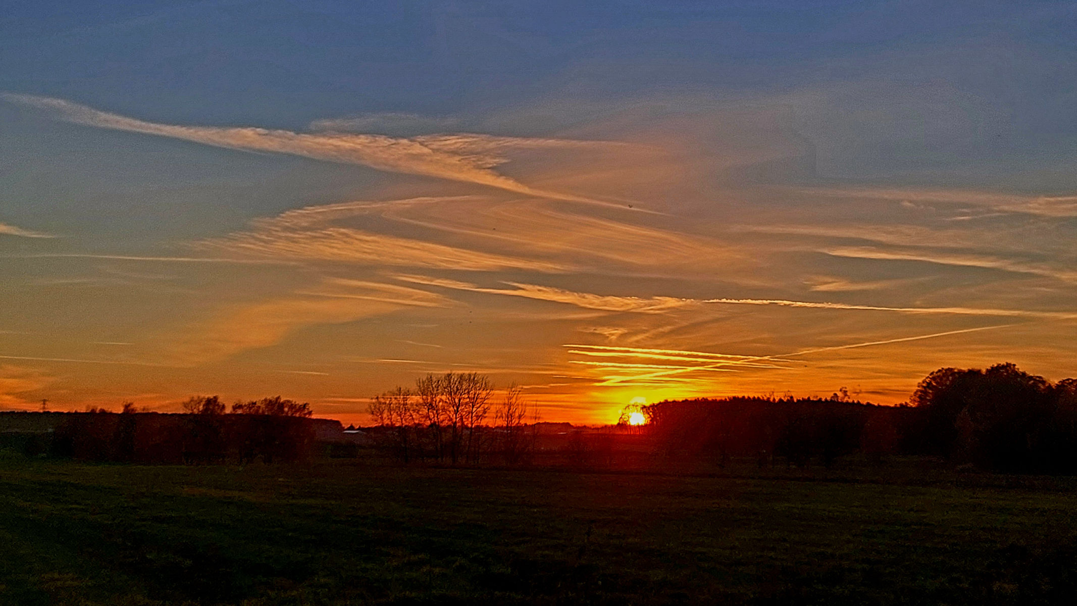 20251104_160654.jpg