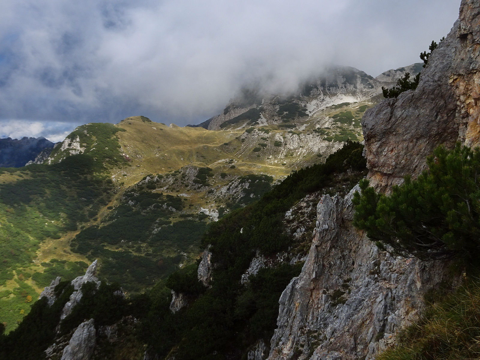 DSC01794.JPG
