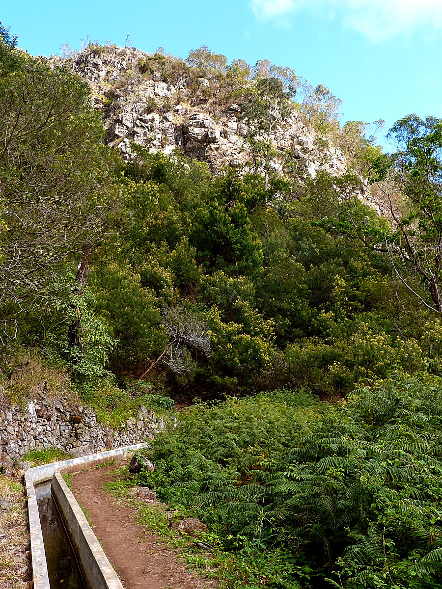 P2100183.JPG