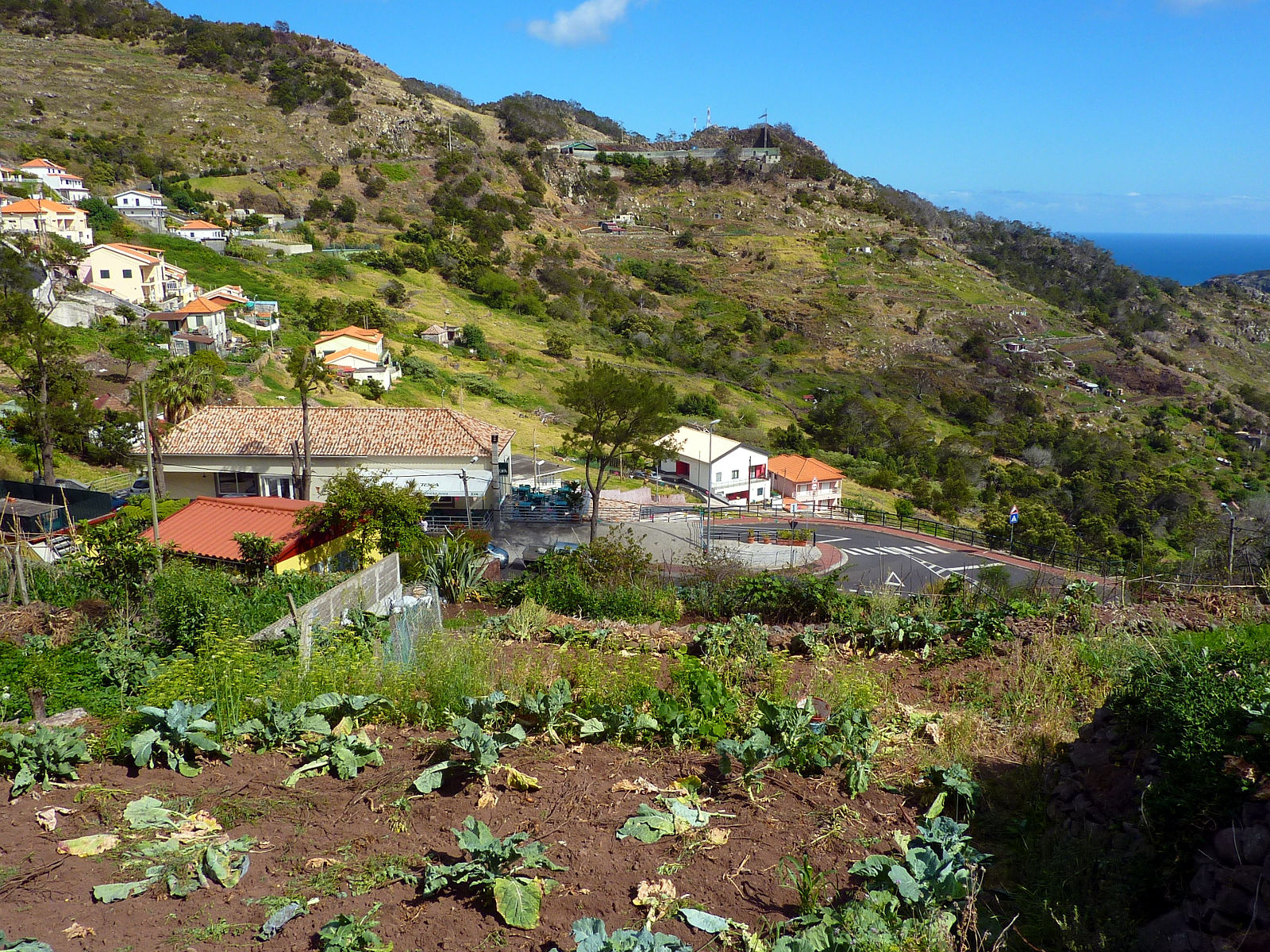 P2100185.JPG