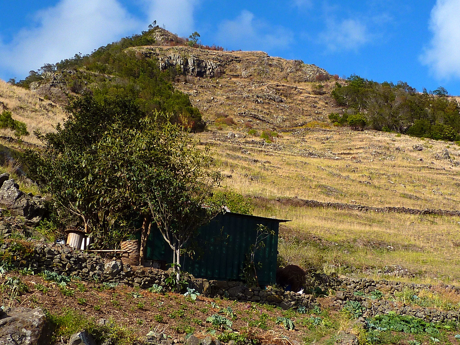 P2100187.JPG
