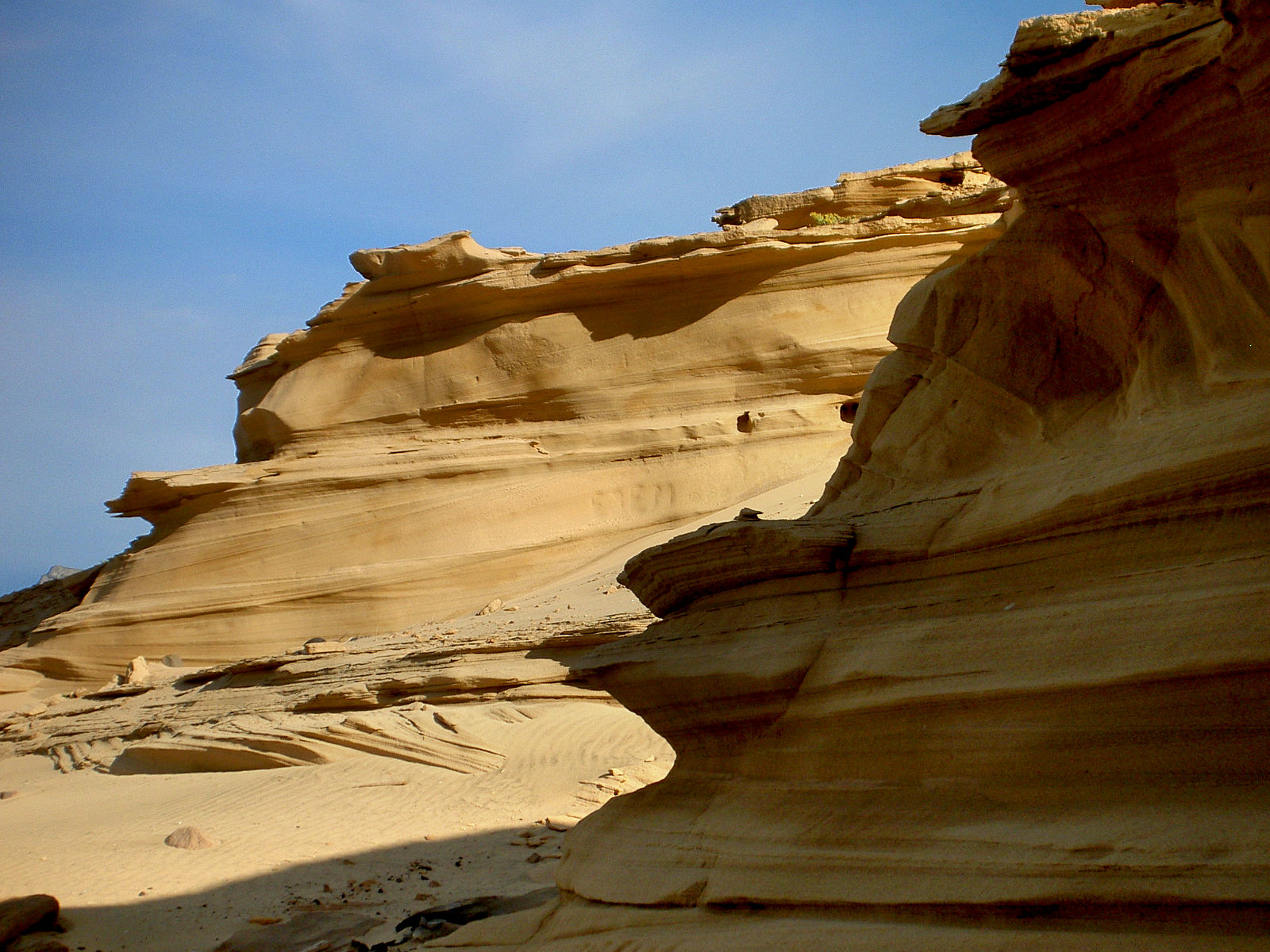 PICT4897.JPG