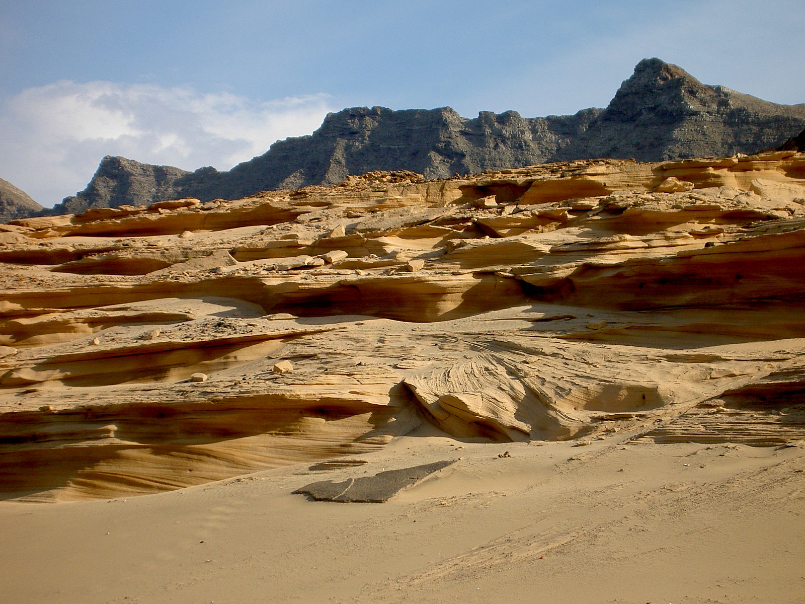 PICT4902.JPG