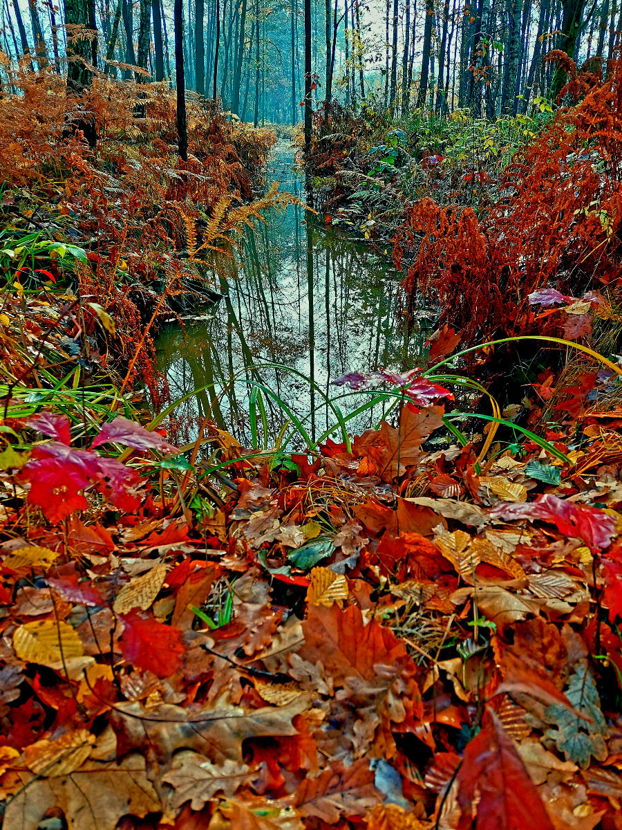 20251105_101035.jpg