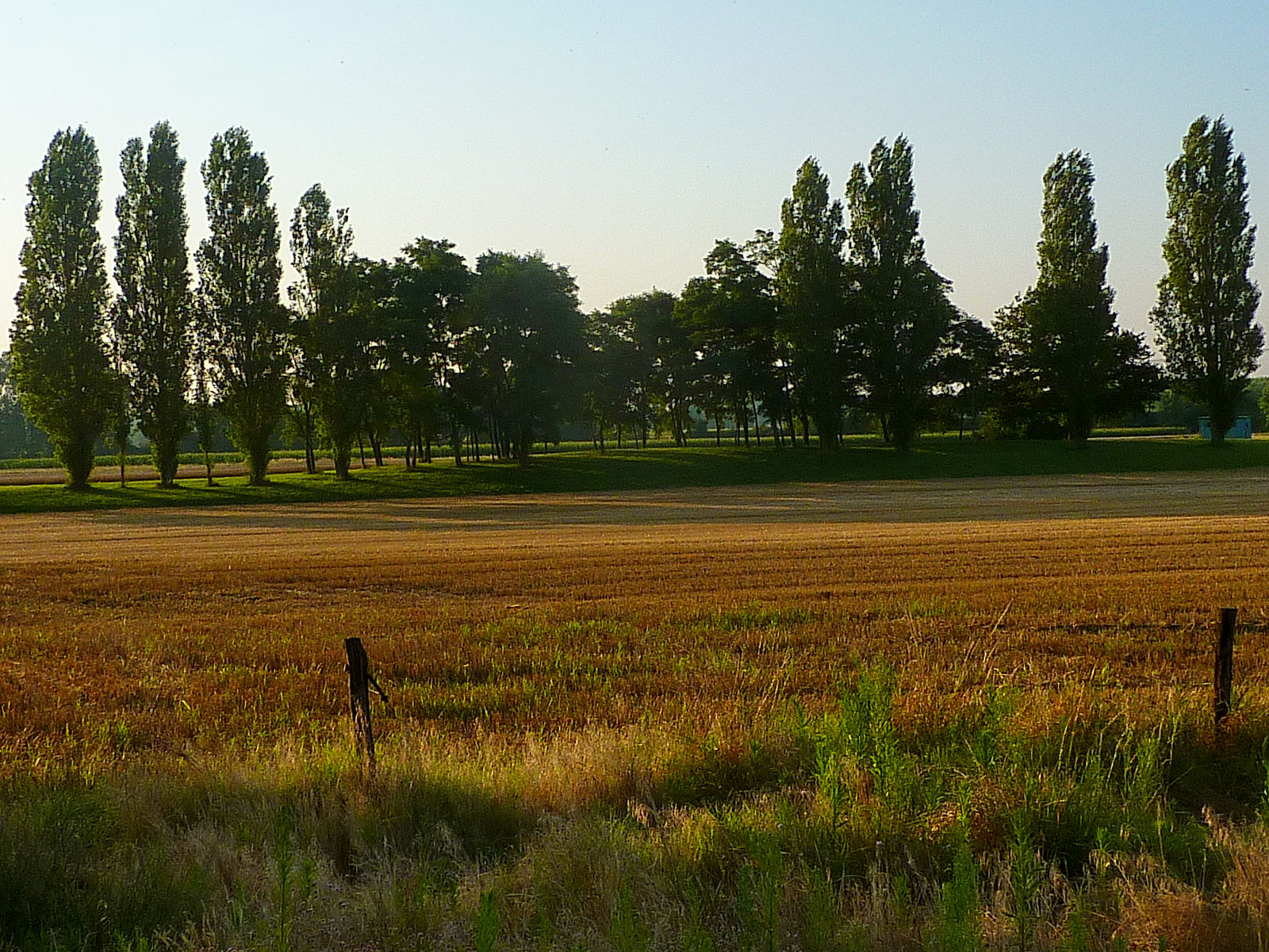 P2610014.JPG