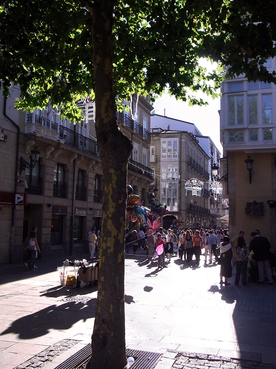 P06G2065.JPG