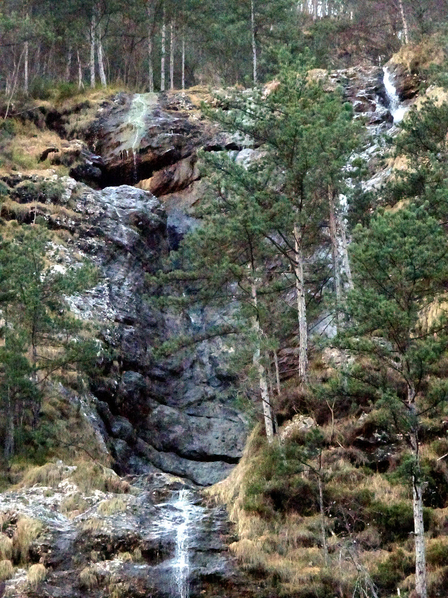 DSC00012.JPG