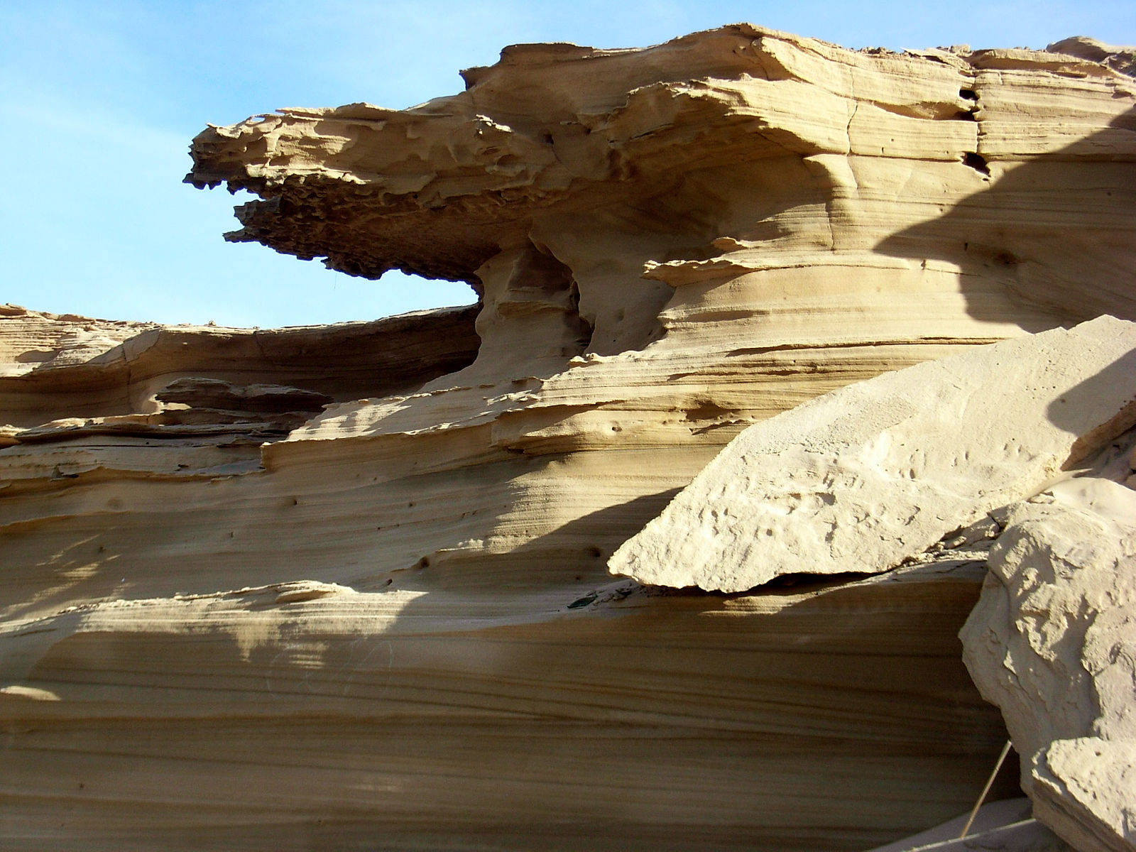 P24G0725.JPG