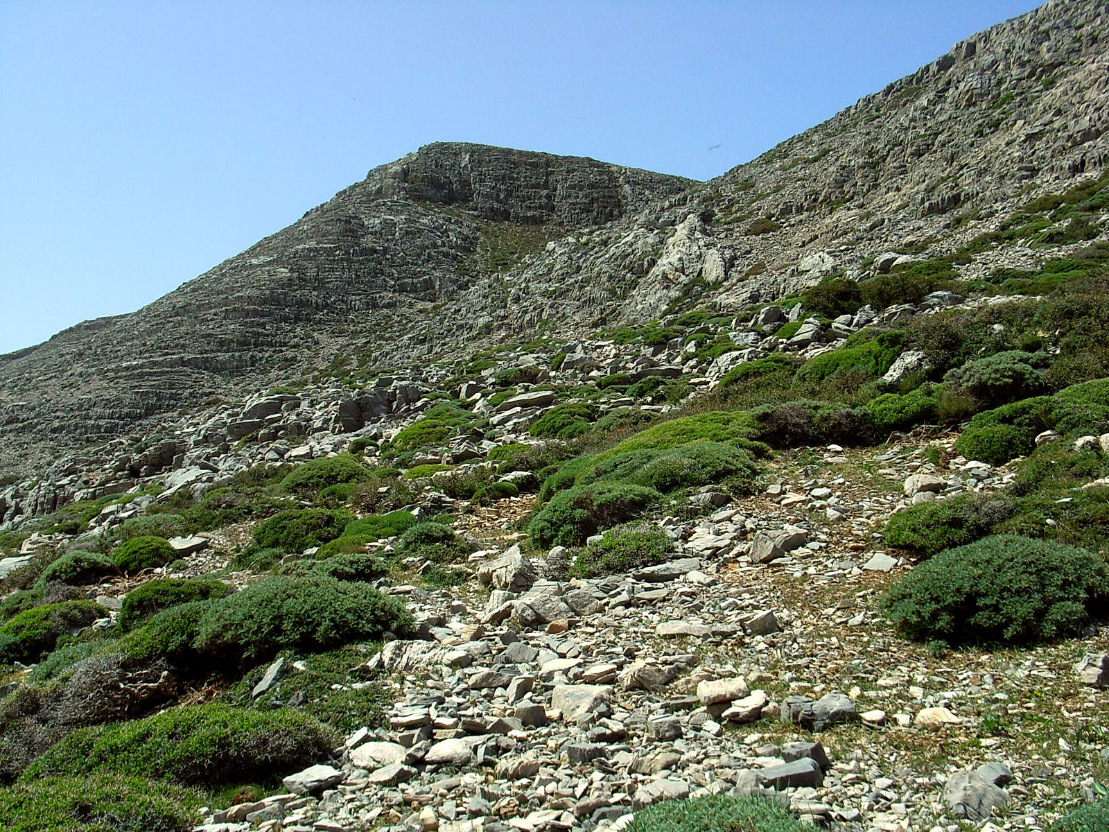 P5020059.JPG