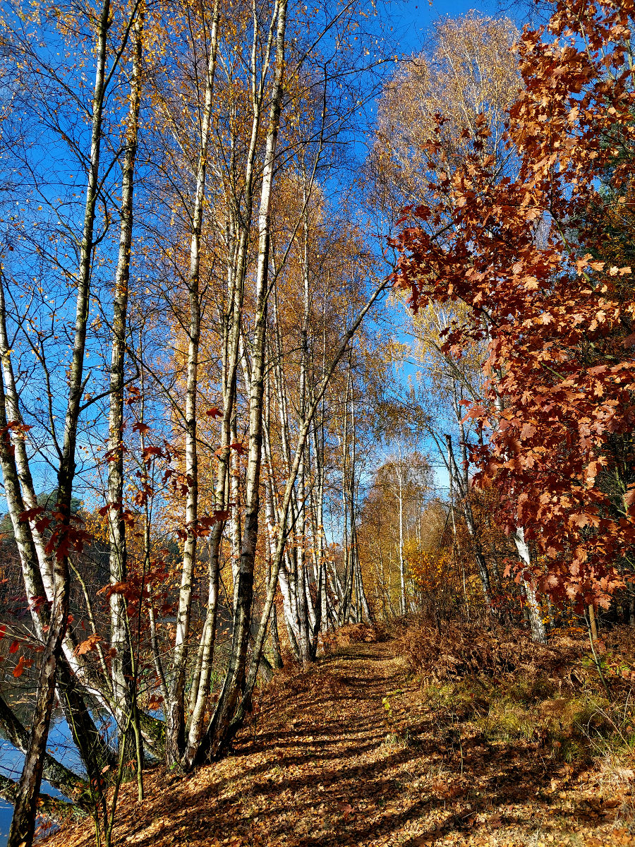 20251105_104859.jpg