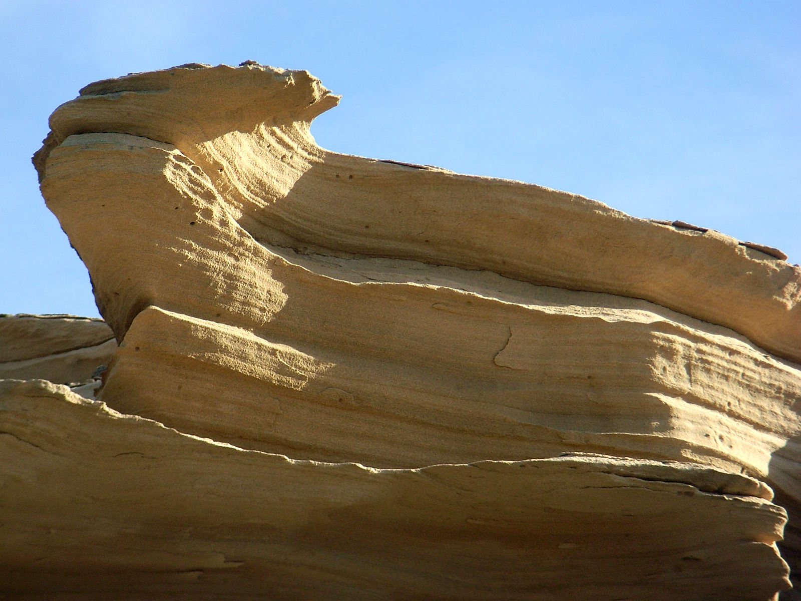 P24G0728.JPG