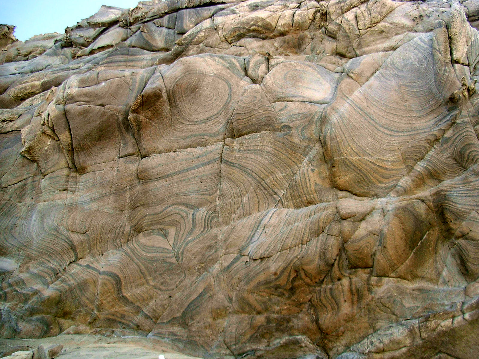 P24G0736.JPG