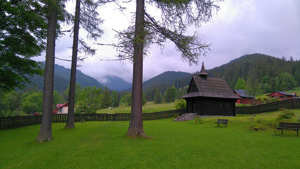 DSC_1000.jpg