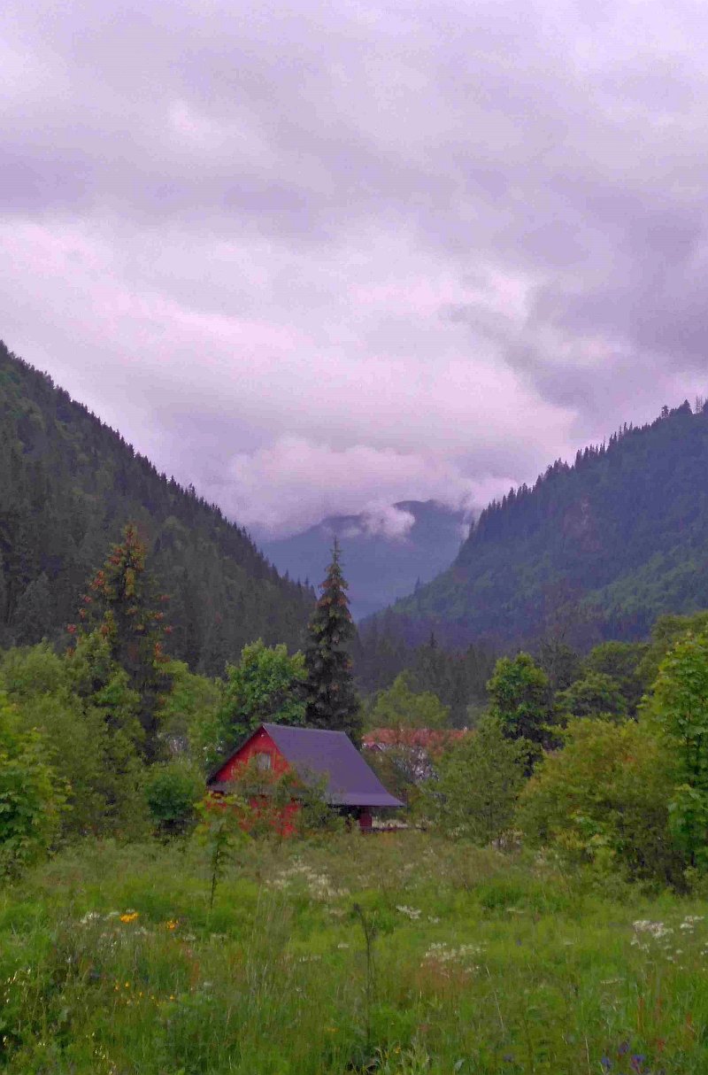 DSC_1003.jpg