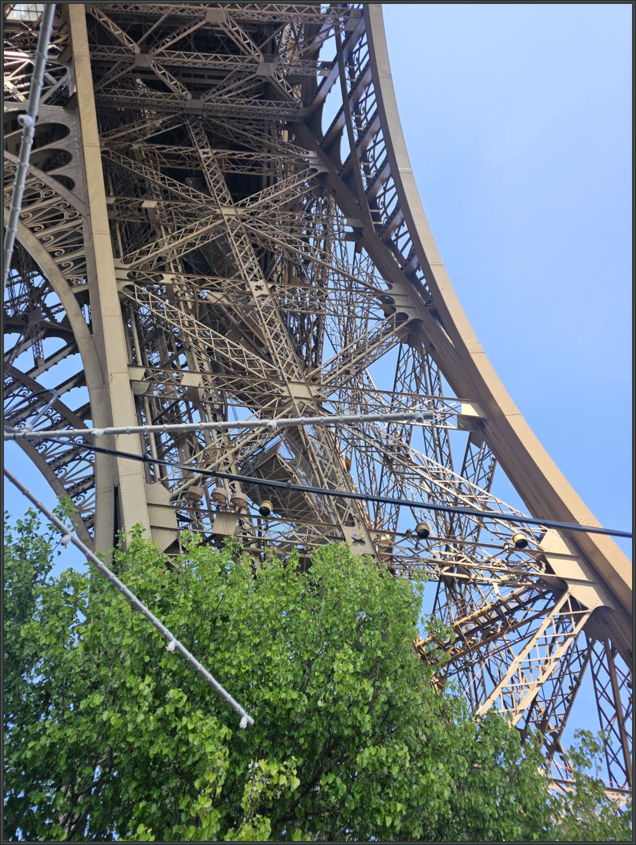 20250410_163446.jpg