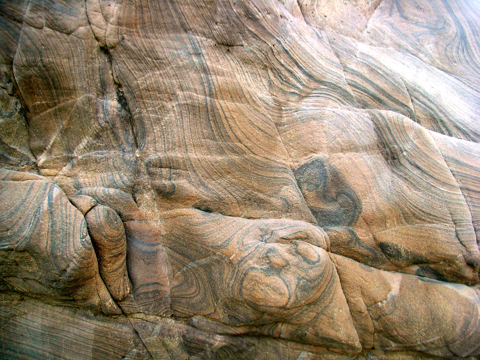 P24G0738.JPG