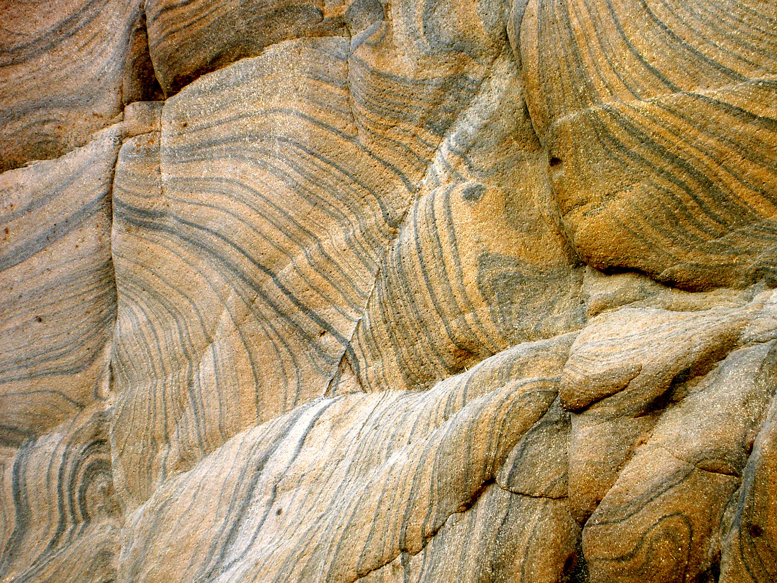 PICT4906.JPG