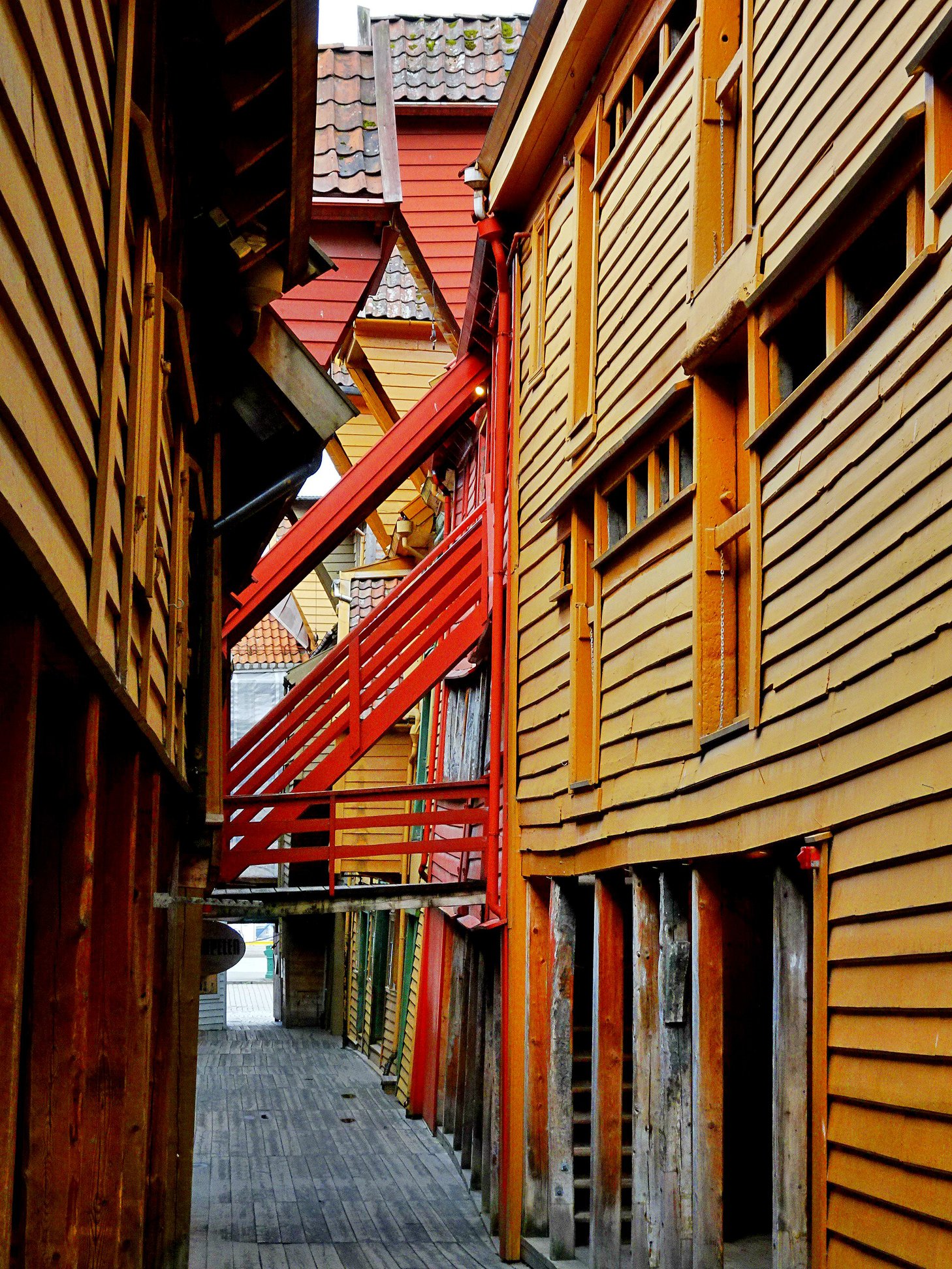 N08.jpg