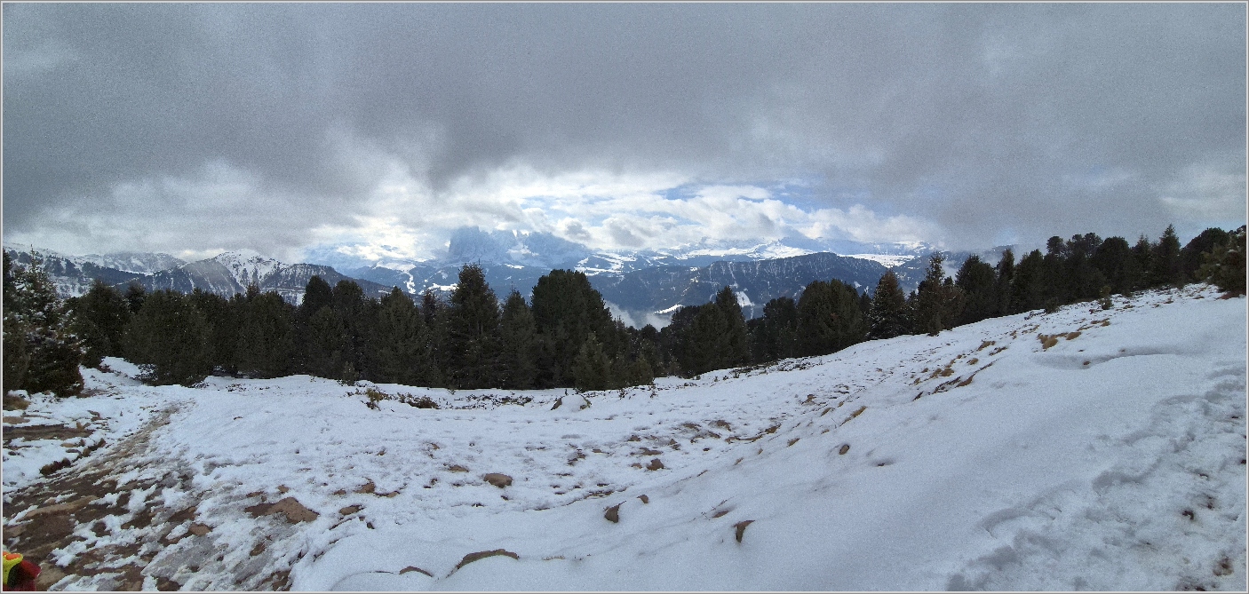 11-20260316_101804.jpg