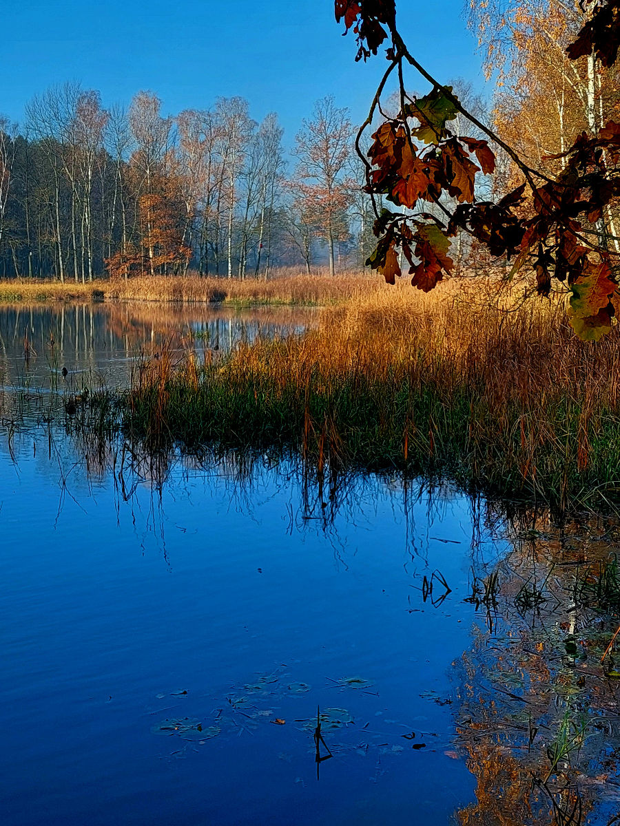 20251106_094208.jpg