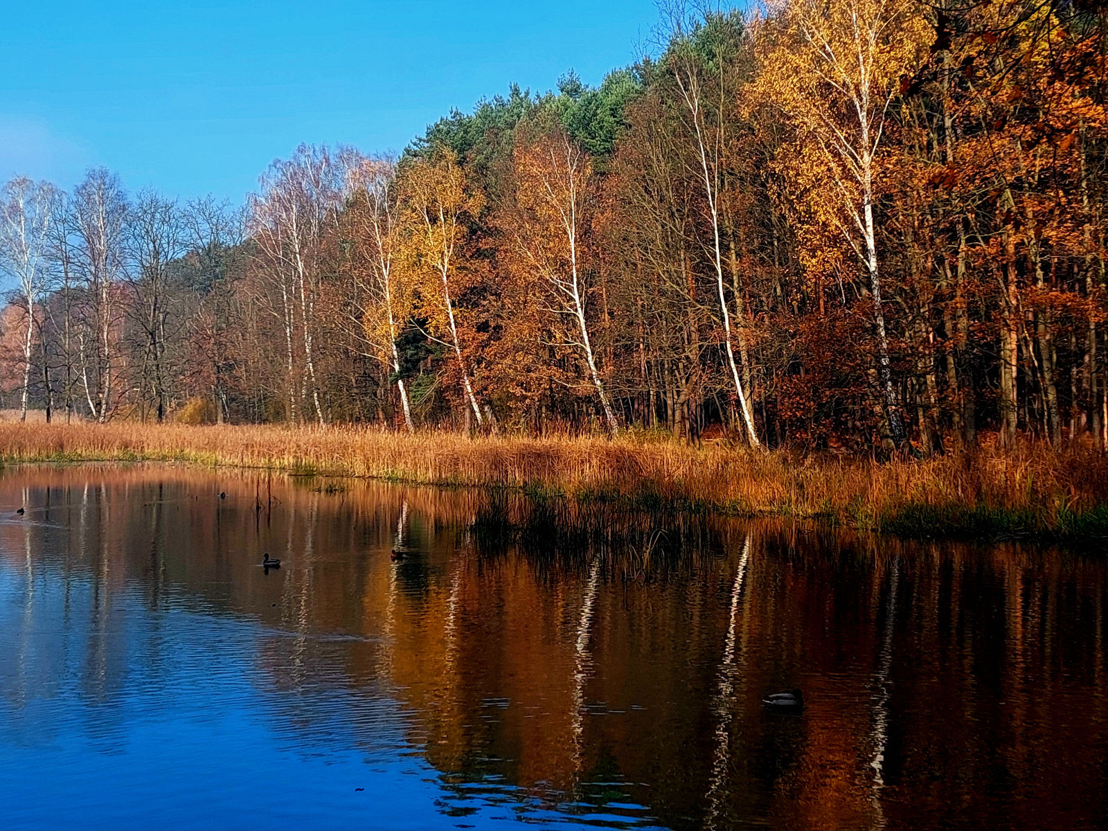 20251106_094447.jpg