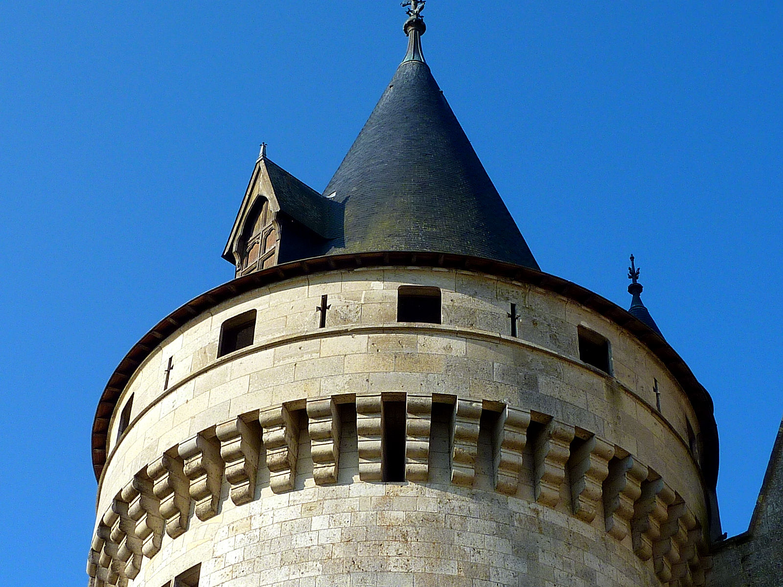 P2610034.JPG
