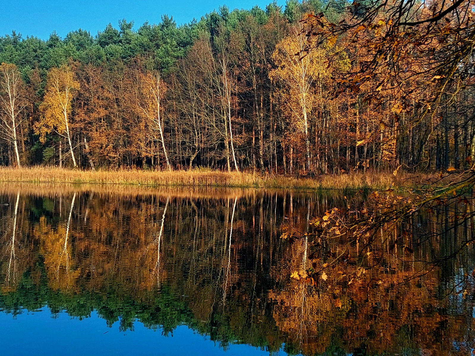 20251106_094838.jpg